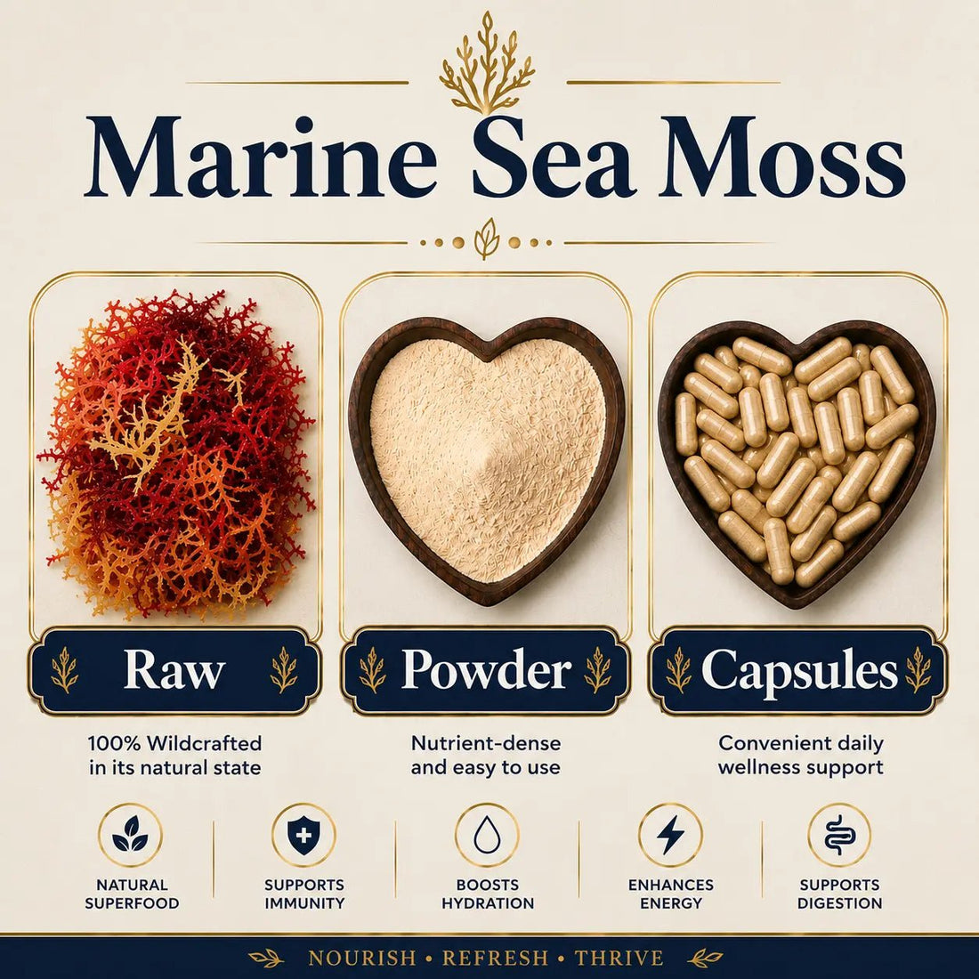 Infographic for Marine Sea Moss showing its Raw, Powder, and Capsule forms with benefits: natural superfood, immunity, hydration, energy, and digestion support