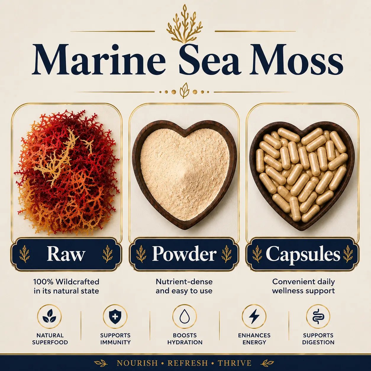 Infographic for Marine Sea Moss showing its Raw, Powder, and Capsule forms with benefits: natural superfood, immunity, hydration, energy, and digestion support