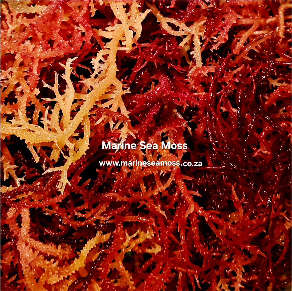 Close-up of marine sea moss with a brand name and website URL overlay.
