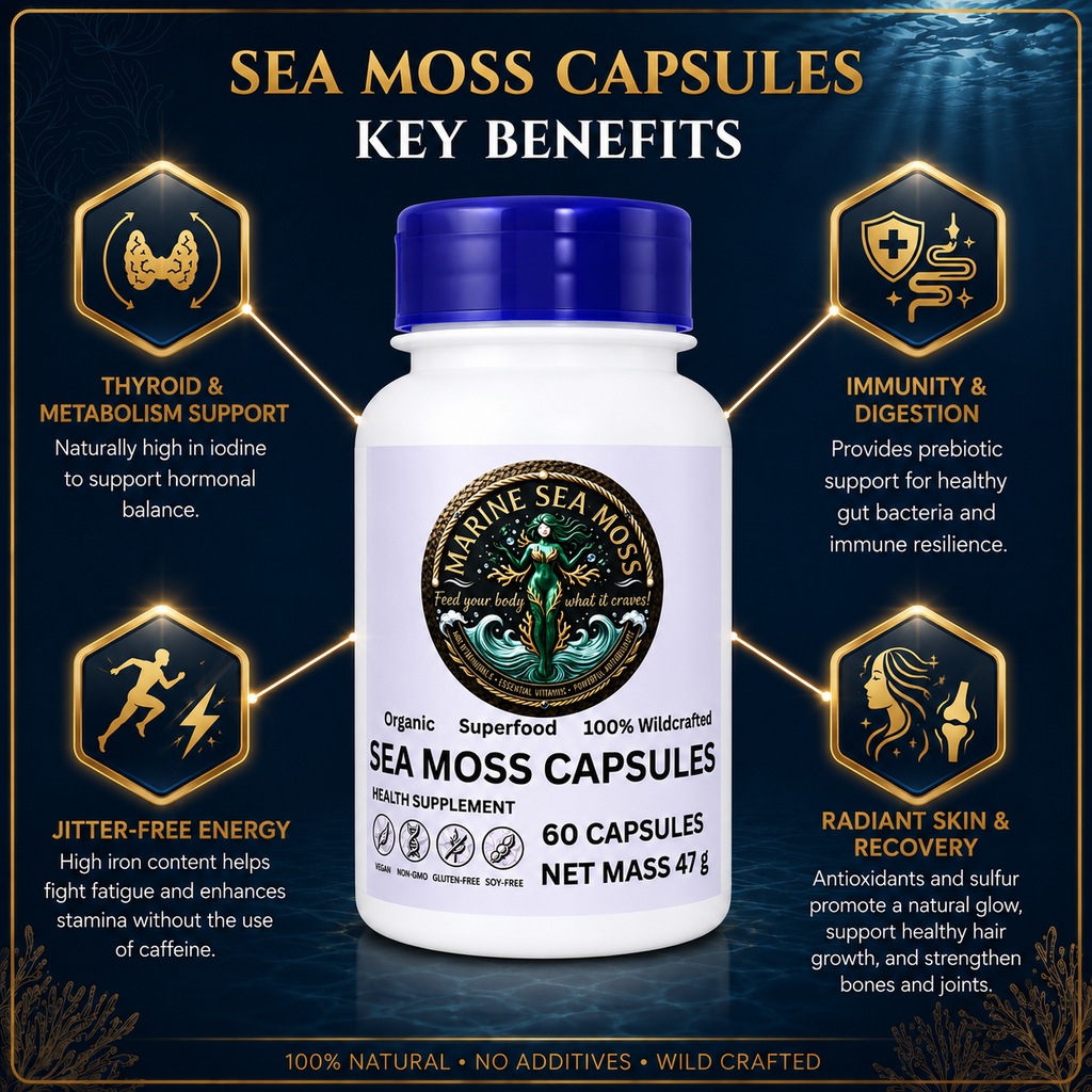 An infographic titled 'Sea Moss Capsules Key Benefits' surrounding a bottle of Marine Sea Moss Capsules with four highlighted sections: Thyroid and Metabolism Support, Immunity and Digestion, Jitter-Free Energy, and Radiant Skin and Recovery