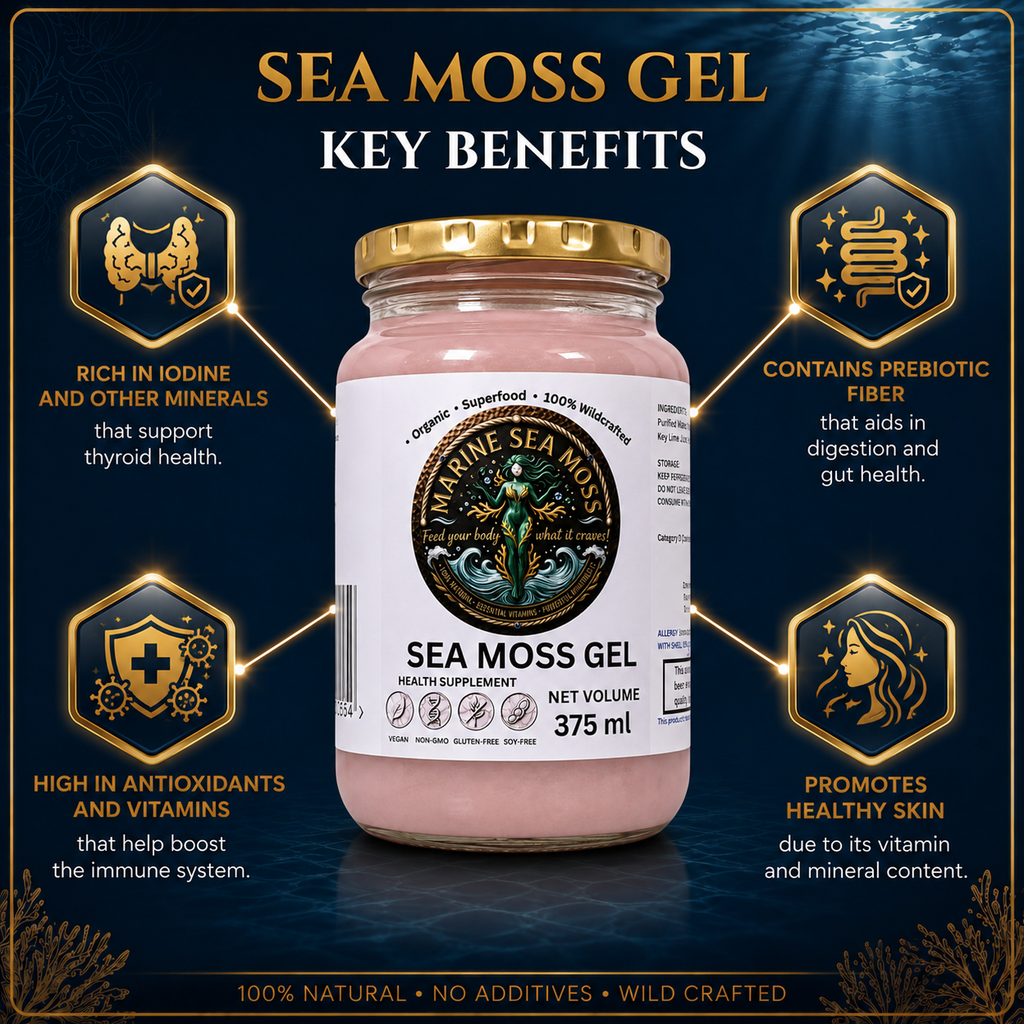 Infographic displaying the key health benefits of Marine Sea Moss Gel, including thyroid support, digestive aid, immune boost, and healthy skin promotion