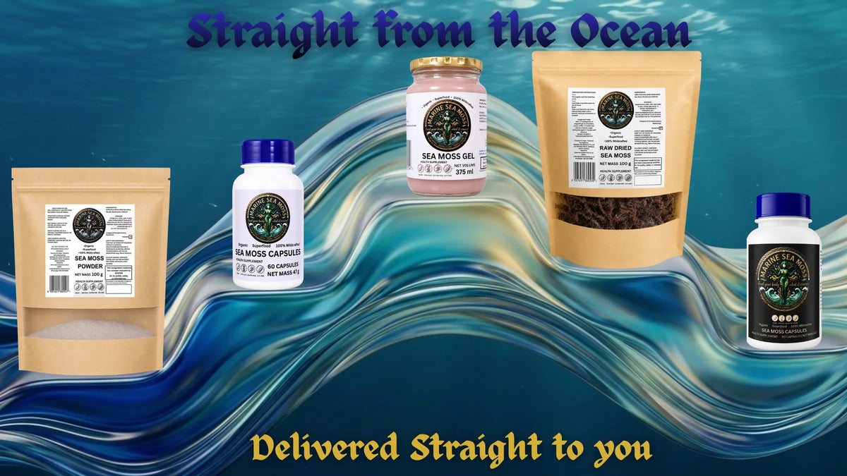 Marine Sea Moss product lineup including sea moss capsules, gel, powder, and raw dried sea moss against a blue and gold ocean background