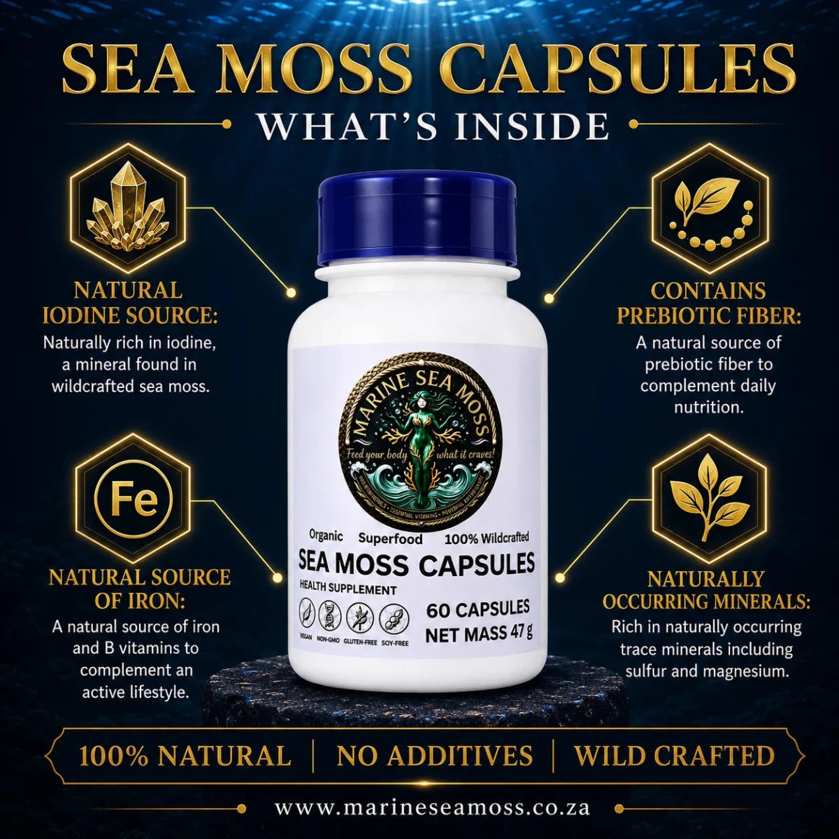 Sea Moss Capsules – What's Inside infographic showing natural iodine source, prebiotic fiber, natural source of iron, and naturally occurring minerals including sulfur and magnesium
