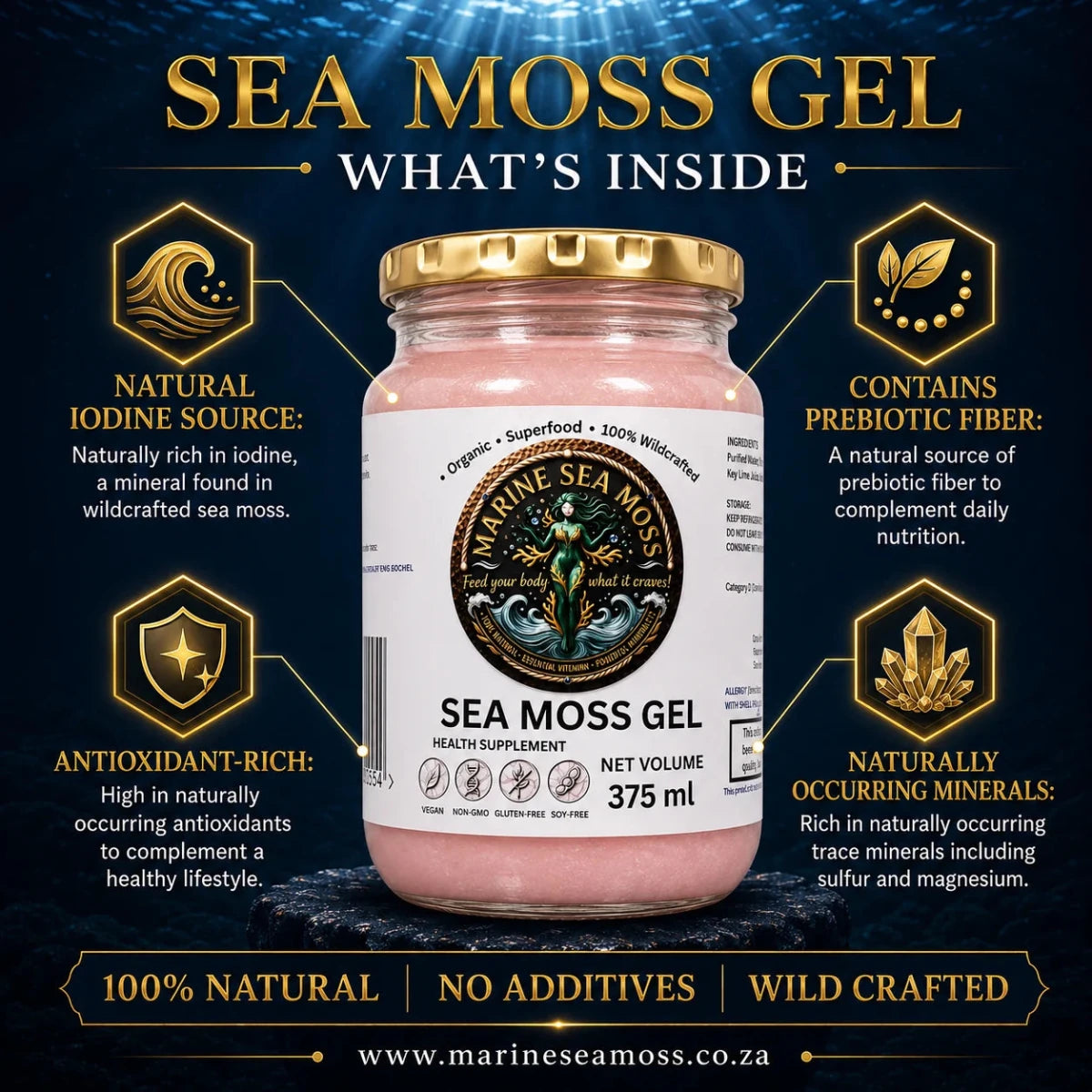 Sea Moss Gel – What's Inside infographic showing natural iodine source, prebiotic fiber, antioxidant-rich, and naturally occurring minerals including sulfur and magnesium